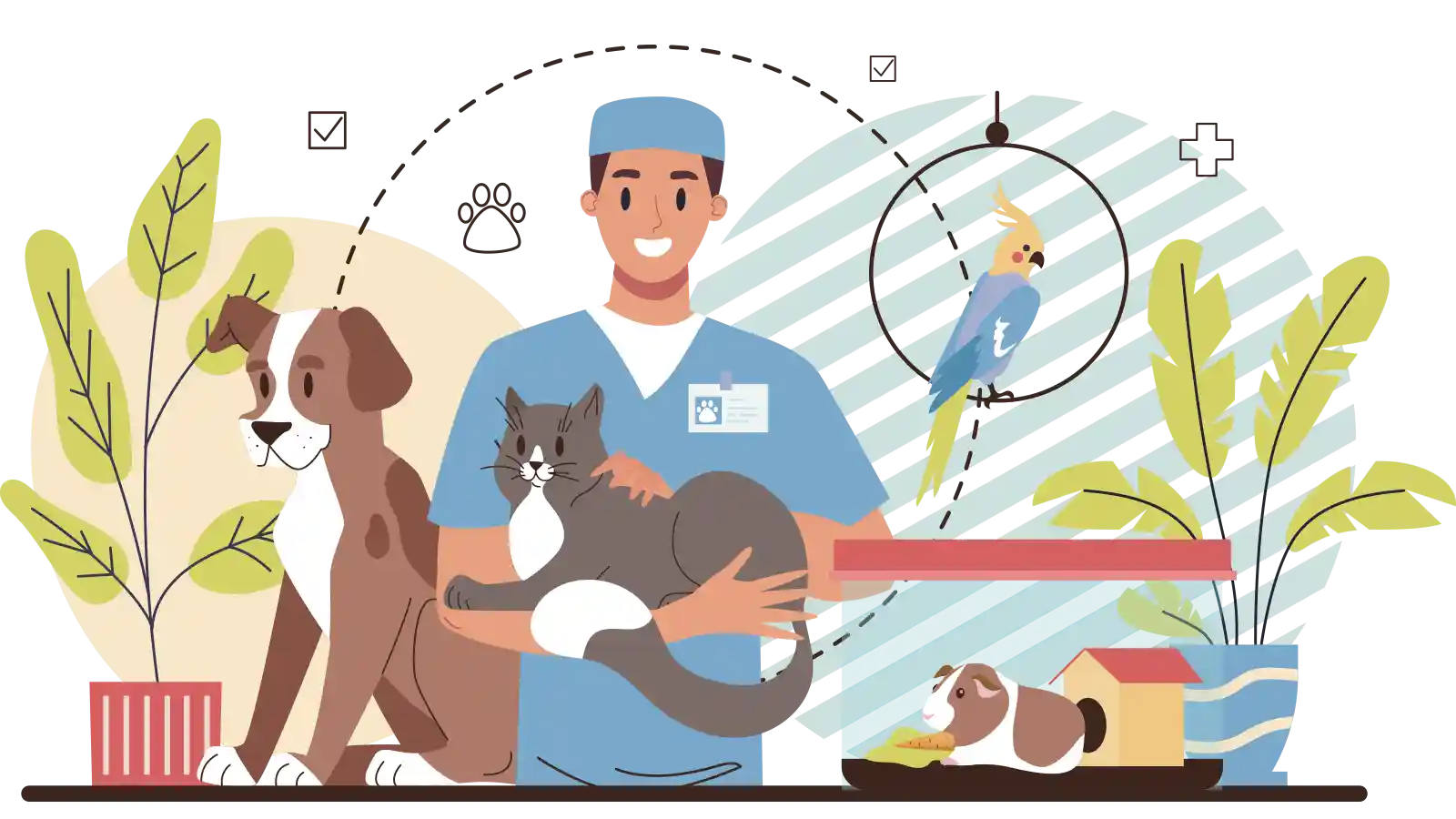 Medico Veterinario